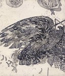 Eagles in a zoo, Etchings