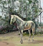 White Horse, Ivan Shevchenkos Computer Graphics Gallery, views: 2603