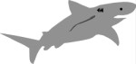 Great White shark, Animals