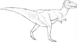 Tyrannosaurus Rex, Animals, views: 5815
