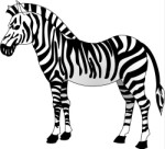 Zebra, Animals