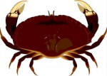 Crab, Crustace, views: 2796