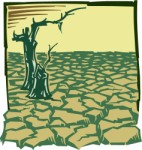 Drought, Environm, views: 3622