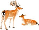 Male and female deer, Corel Xara, views: 4411
