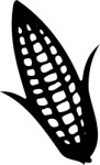 Corn, Food, views: 5307