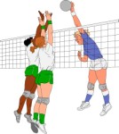 Women playing netball, Sport