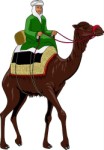 Arab Riding, Tradition, views: 5494